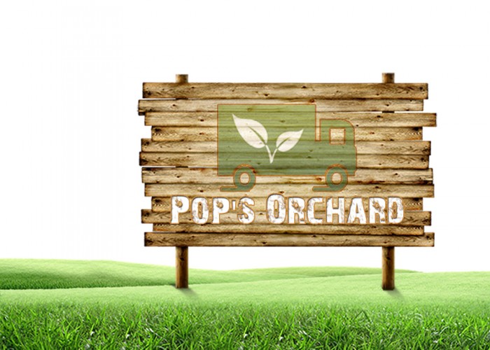Logo Design For eCommerce Business