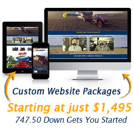 image of custom website starter package offer