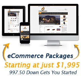 ecommerce website