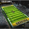 48-x27--Large-limited-edition-150-Scaled-Sample-valdosta-vs-colquitt-2020-stadium-shot