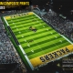 acm-prints-valdosta-vs-colquitt-2020-stadium-shot